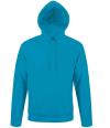 47101 Unisex Snake Hooded Sweatshirt Aqua colour image